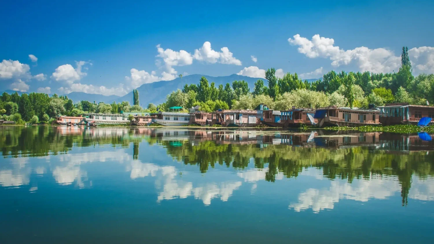 Kashmir Day 6
