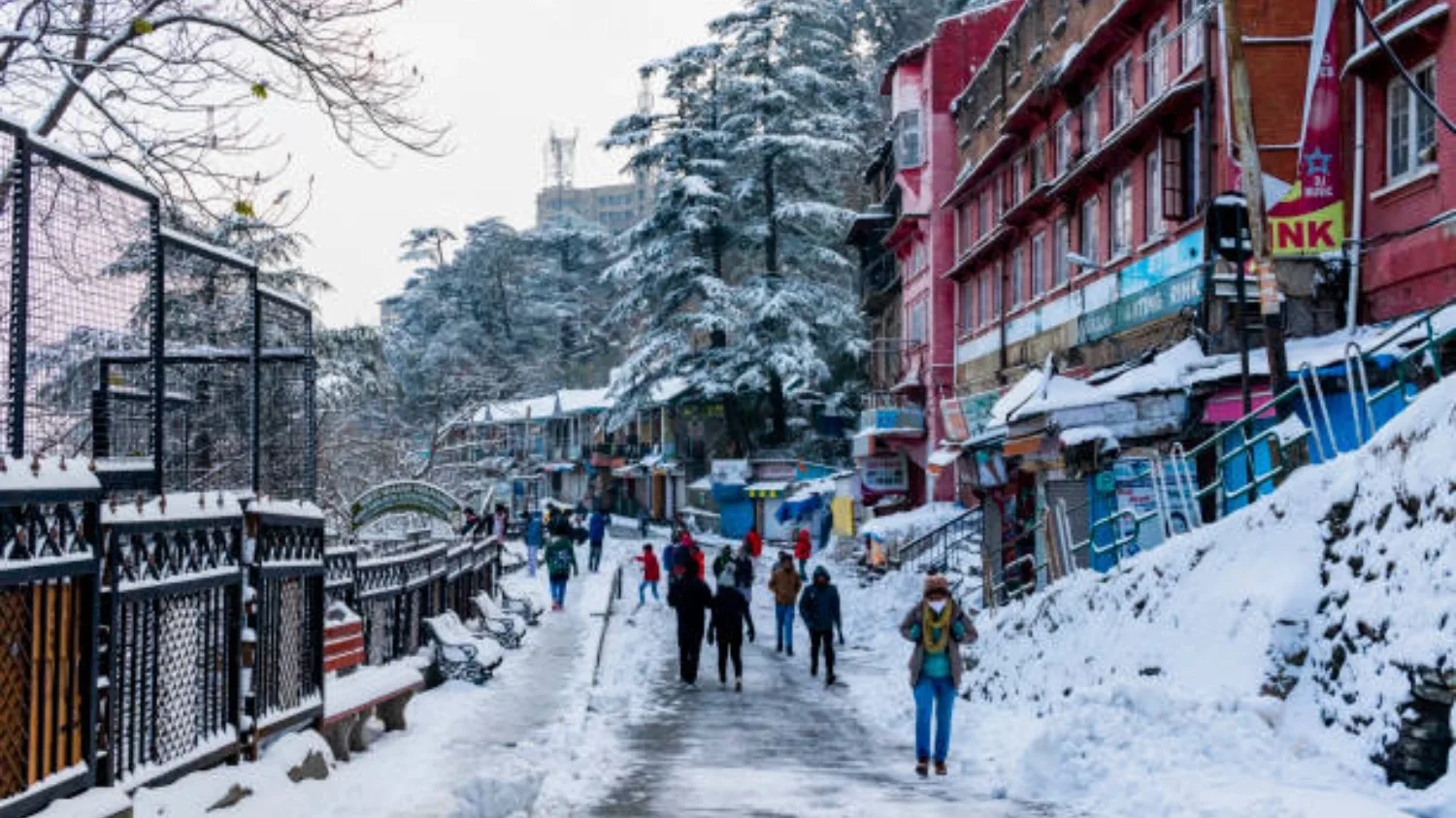 Shimla & Manali Day 2