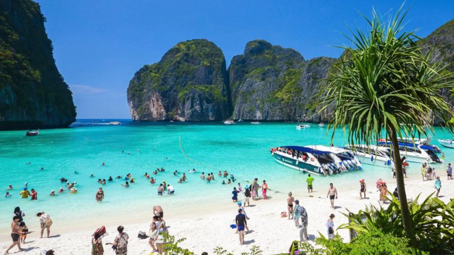 Thailand Day 4