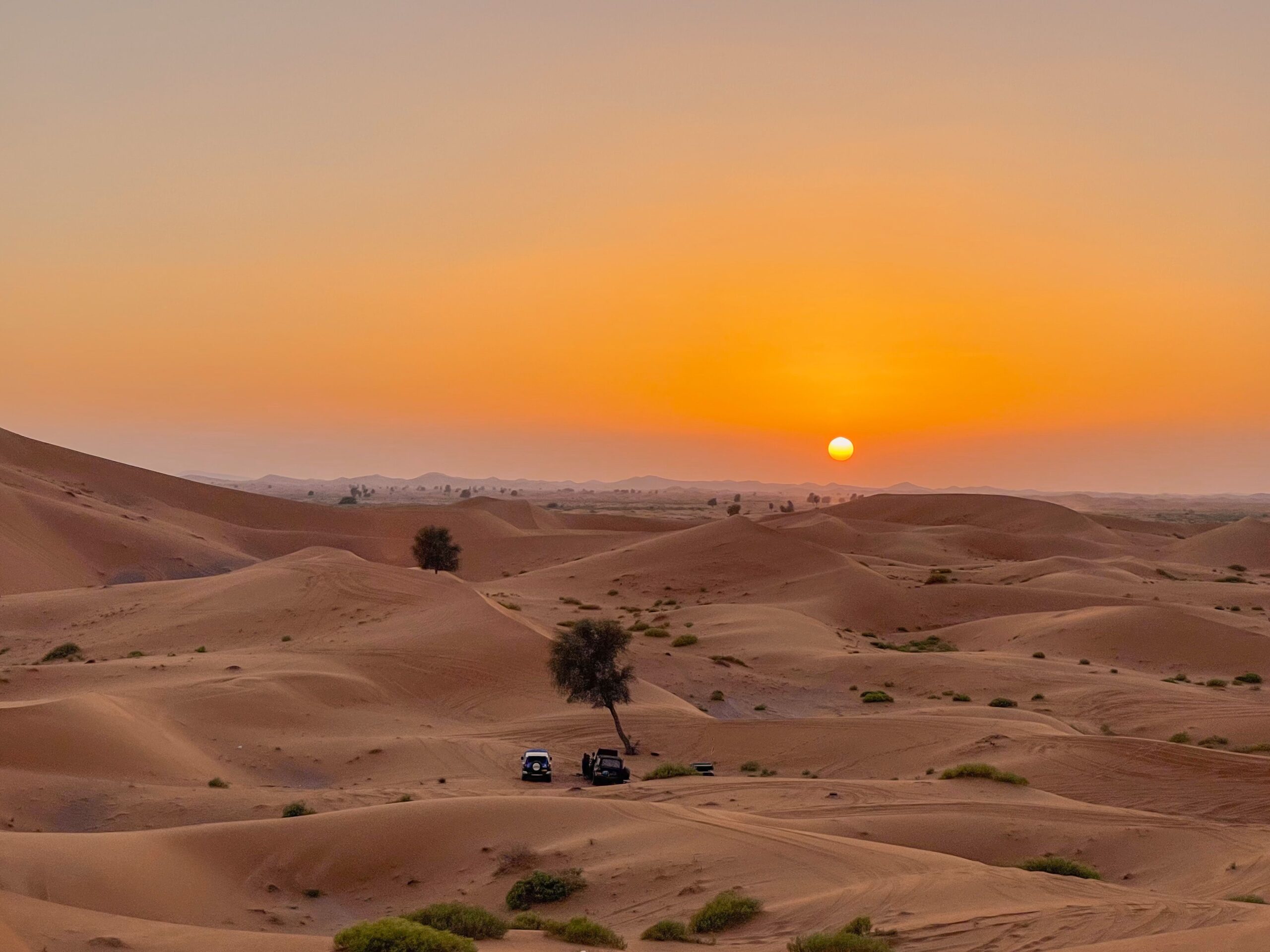 Dubai Desert Safari : 9 Amazing Experiences You Must Not Miss (2026 Guide)